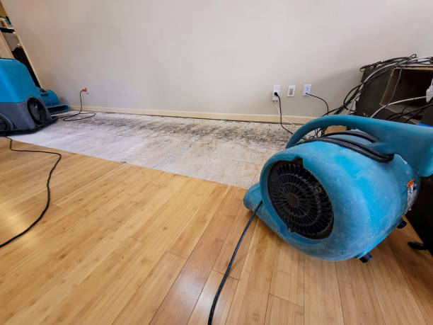 Professional Flood Damage Cleanup technician working in Rillito, AZ